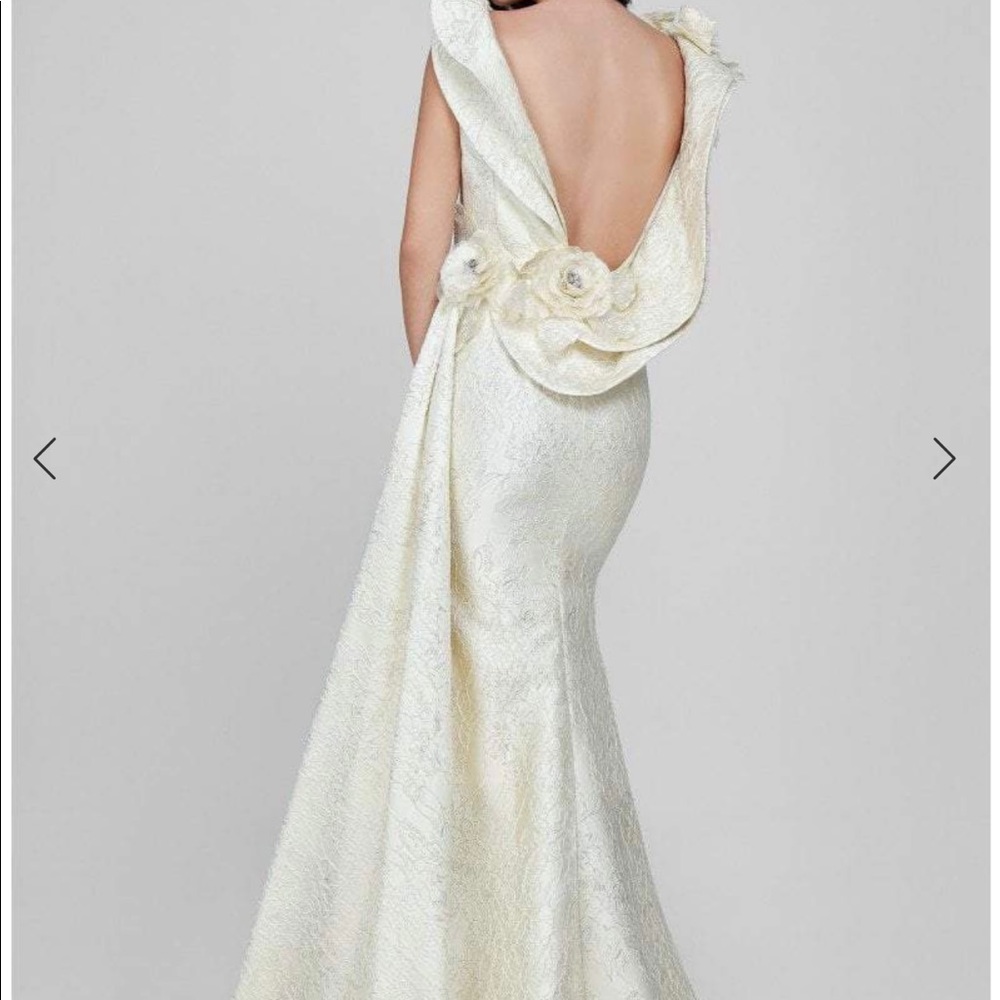 Terani couture dress size 2